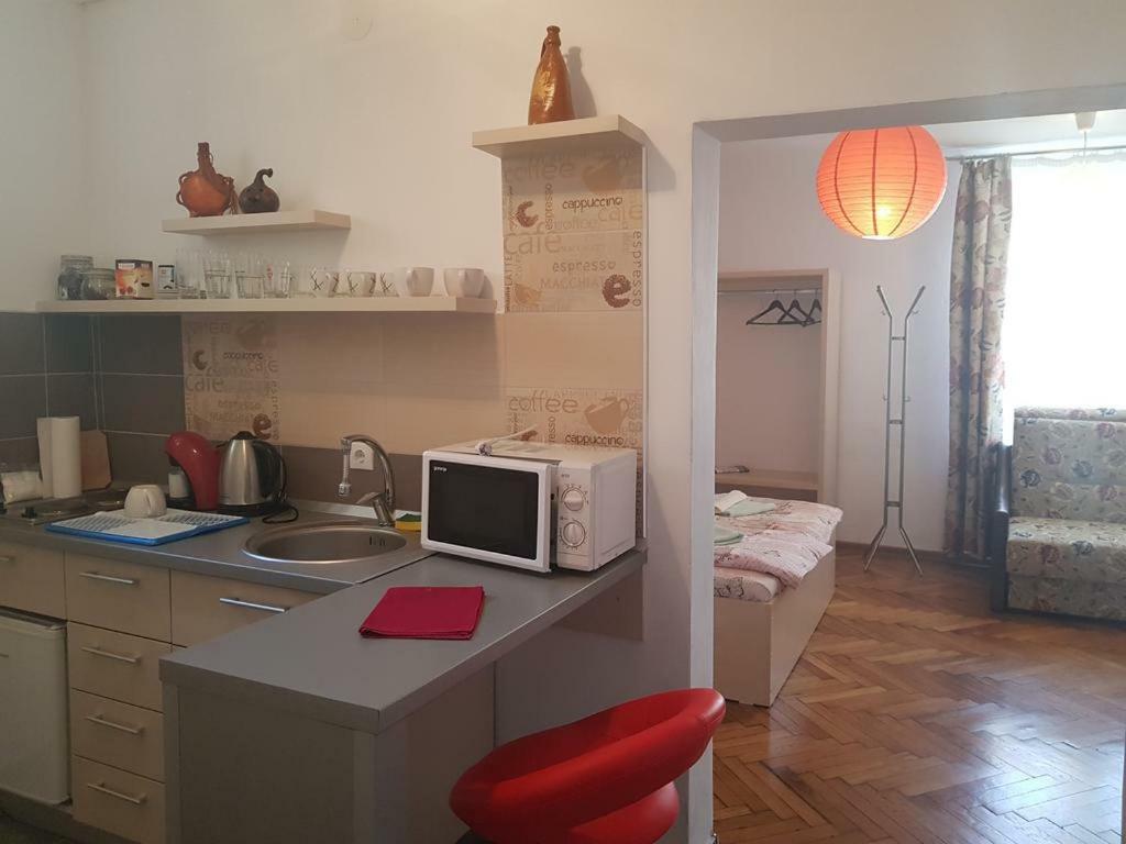 Апартаменти Apartament Ultracentral Сібіу Екстер'єр фото