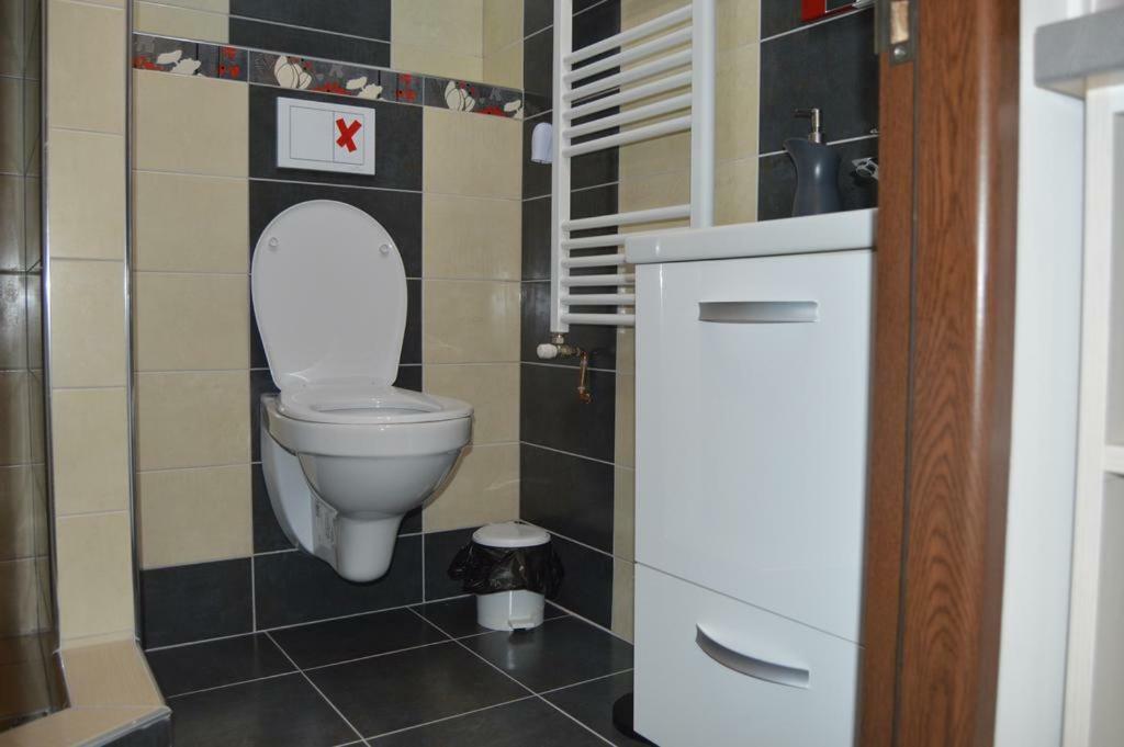 Апартаменти Apartament Ultracentral Сібіу Екстер'єр фото