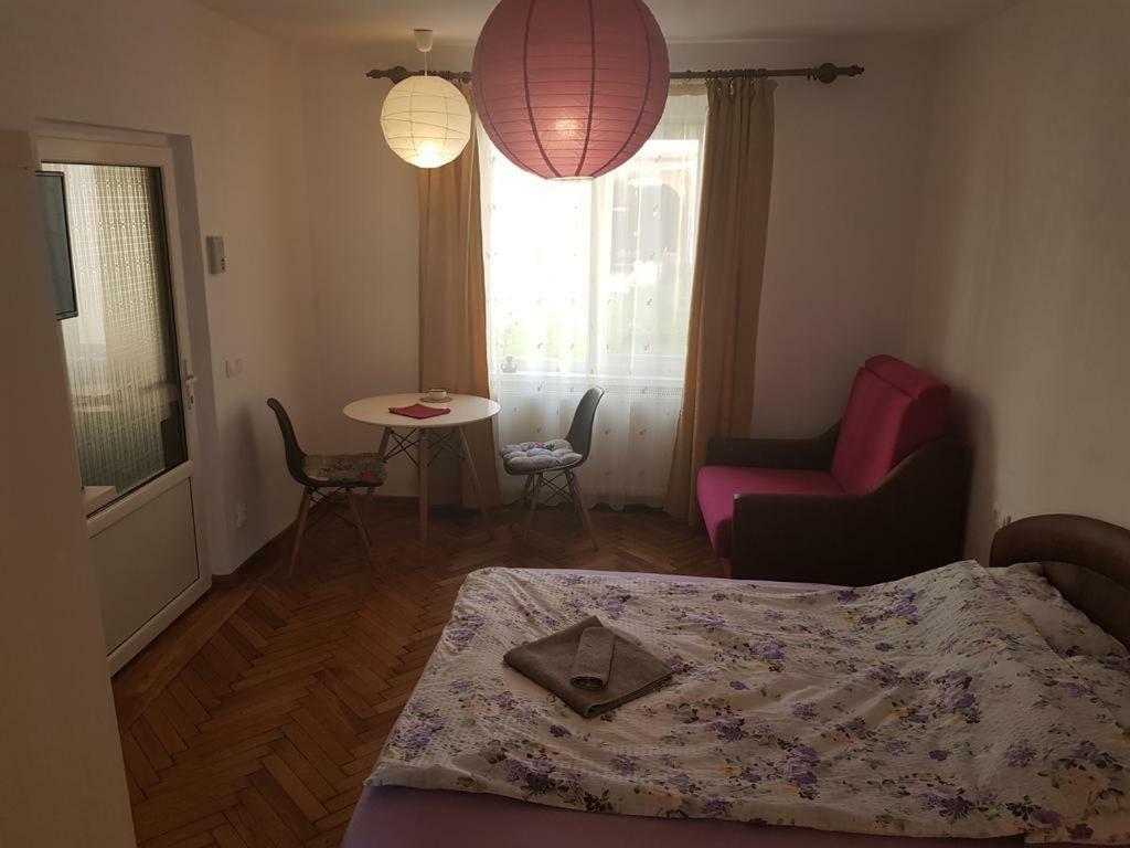 Апартаменти Apartament Ultracentral Сібіу Екстер'єр фото